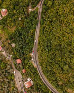 Aerial view of a road driving through the forest on the hill near Budva in Balkans peninsula, Montenegro.