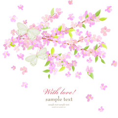 invitation card with blooming branches of cherry tree. spring pink blossoms with couple of white butterflies