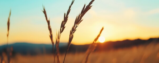 Golden hour scene with hazy light, soft tones, and tranquil ambiance capturing nature's serene beauty.