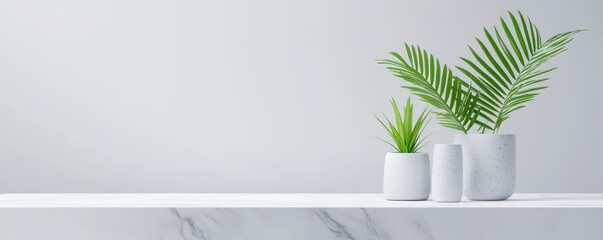 Elegant monochrome minimalist background highlighting reserved focused elements for a sophisticated aesthetic.