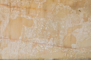 Photo Stone veined pattern useful as a background or texture