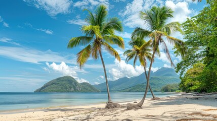Paradise beach of a tropical island, palm trees