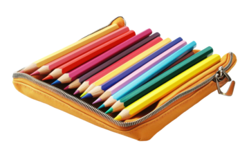 A vibrant collection of colored pencils nestled in a stylish zippered case on a bright surface
