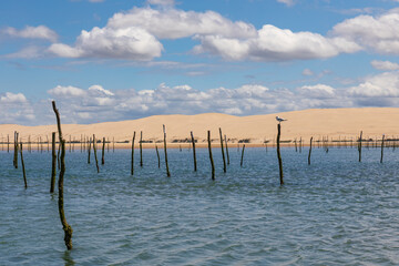 Arcachon, France - Banc d'Argain