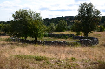 ENCLOS A BREBIS EN PIERRES SÈCHES