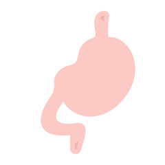 胃　イラスト