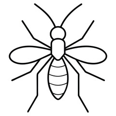 Mosquito Illustration - Line Art Style