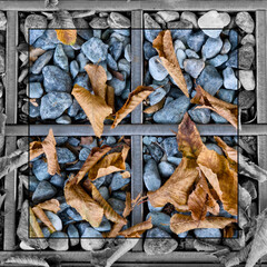 Cornice bianco e nero con interno foto a colori di griglia in metallo con foglie autunnali