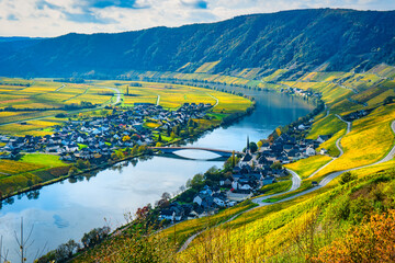 Moselpanorama Piesport