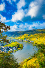 Moselpanorama Piesport