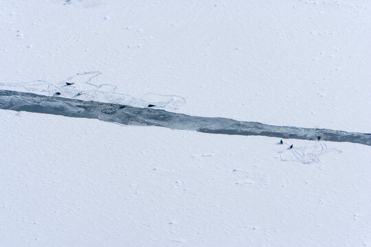 Aerial view of vast frozen landscape with snow and ice patterns, Arkhangelsk oblast, Russia.