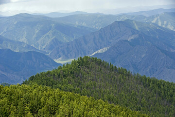 Aerial view of majestic mountain range with lush forest and serene sky, Altai Republic, Russia.