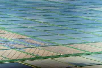Aerial view of colorful geometric patterns in lush green fields and reflective water, Krasnodar Krai, Russia.