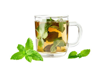 Refreshing herbal tea with fresh mint leaves in a clear glass cup on a pristine background
