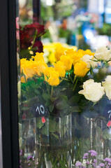 Flowers, plant beautiful, home detail