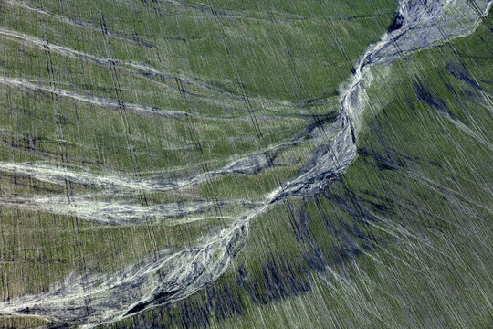 Aerial view of serene and tranquil green valley with wavy contours and natural terrain, Lipetsk Oblast, Russia.