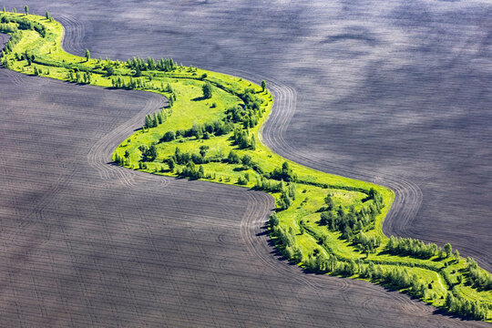 Aerial view of meandering river through lush green fields and tranquil trees, Lipetsk Oblast, Russia.