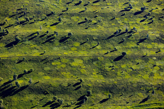 Aerial view of beautiful green countryside landscape with fields and trees, Tula oblast, Russia.