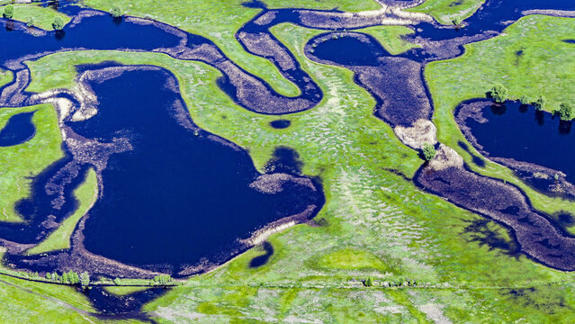 Aerial view of vibrant wetlands with serene water and lush grass, Volgograd Oblast, Russia.