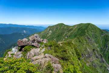 深緑の谷川岳