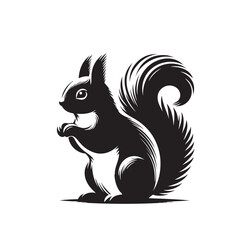 Obraz premium Squirrel silhouettes collection isolated white background, Squirrel animal silhouettes, squirrel silhouettes set illustration