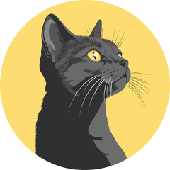 A black cat on yellow background