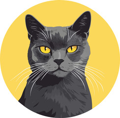 Black cat on yellow background