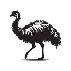 Bird Silhouette vector art illustration. black bird vector design.