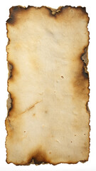 Burned Paper Texture