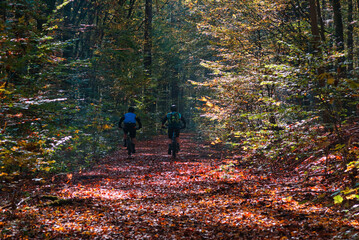 Mountainbiker im saarländischen Herbstwald