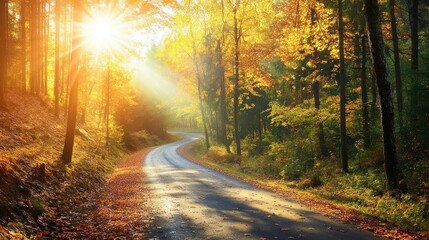 Obraz premium Autumn Road Through the Woods