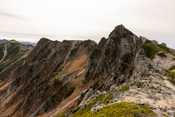 landscape in the morning