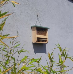 Wooden birdhouse with a blue roof hanging on a grey wall surrounding with green bamboo in sunny place