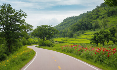 시골길옆 예쁜꽃과 나무