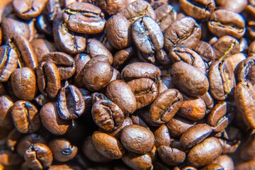 Capture the essence of diverse backgrounds and lifestyles with eco-friendly coffee. Choose Arabica, the roasted coffee bean of choice