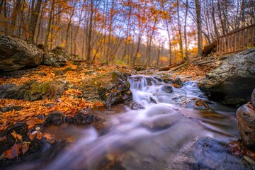 Autumn forest stream at dusk.