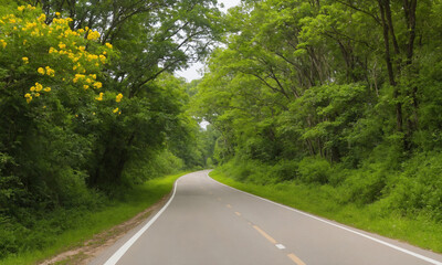 Fototapeta premium 시골길 옆으로 나무와 꽃이 예쁘게 피어있다.