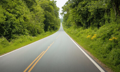 시골길 도로옆 나무와 꽃이 만발해있다 예쁘다