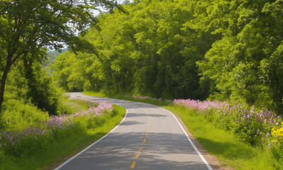 Fototapeta premium 시골길 도로옆에 꽃과 나무가 예쁘다 쾌적한도로
