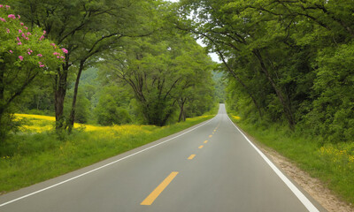 Fototapeta premium 시골길 도로옆에 꽃과 나무가 예쁘다 쾌적한도로