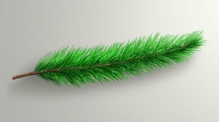  A pale background showcases a solitary green pine branch with its cast shadow to the right