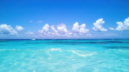 Obraz premium The open ocean under a clear sky, with gentle waves and deep blue waters stretching to the horizon