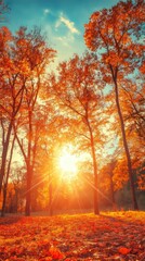 Capture a real photograph of the autumn equinox, featuring a stunning scene of a forest bathed in golden sunlight, where trees display a vivid array of red, orange, and yellow leaves