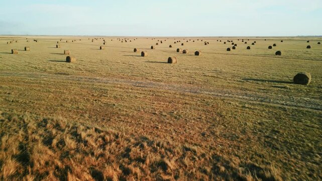 flying over a field where hay is collected in huge stacks in the fall ahead