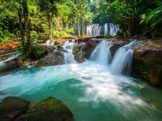 Fototapeta premium waterfall in the forest