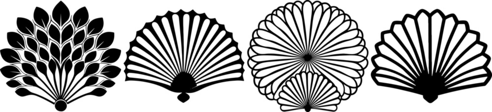 Decorative shells in various shapes, displayed against a dark background, highlighting intricate patterns and textures.