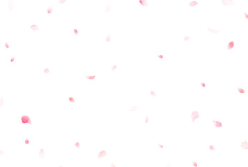 背景素材_水彩花吹雪_桜