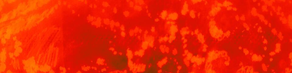 Orange Texture Wild. Ethnic Graphic Watercolor