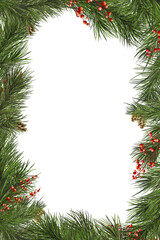 Christmas vertical card with pine branches and red berries. Watercolor digital illustration. Winter berries and coniferous tree branches isolated on white background. For New Year and Christmas themes