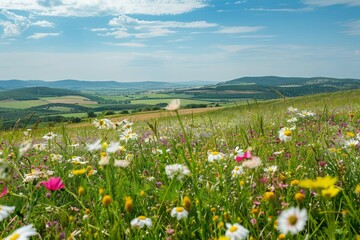A beautiful, sun-drenched spring summer meadow. Natural colorful panoramic landscape. Neural network ai generated art